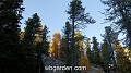 wbgarden alps 123